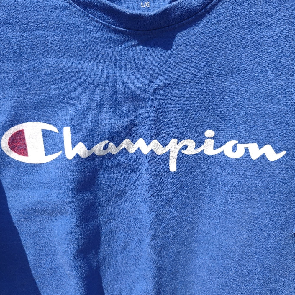 Champion T-shirt - Blue - Men's Large - Picture 2 of 5